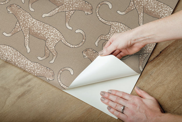 Big Cat Walk Brown Peel & Stick Wallpaper with Animal Leopard Motif - York PSW1358RL