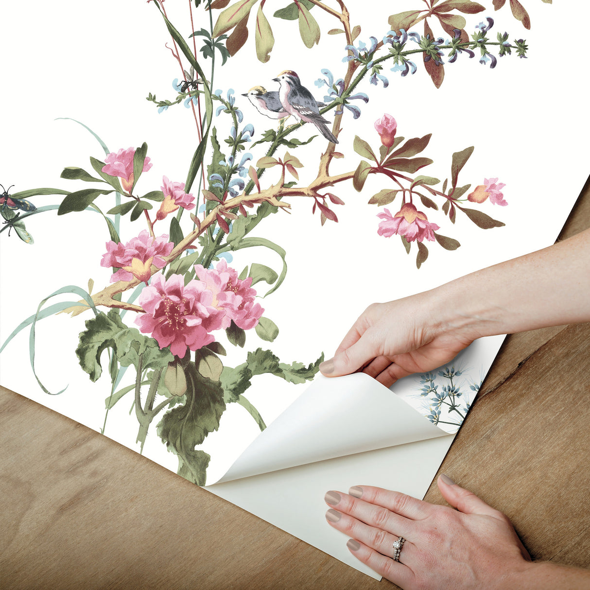 Wild Flowers Rose by York Wallcoverings Peel & Stick Wallpaper – York Wallcoverings PSW1366RL