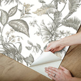Fiji Garden White by York Wallcoverings Peel & Stick Wallpaper – York Wallcoverings PSW1371RL