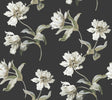Large Parrot Tulip Black Peel & Stick Wallpaper – York Wallcoverings PSW1372RL