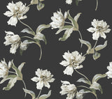 Large Parrot Tulip Black Peel & Stick Wallpaper – York Wallcoverings PSW1372RL