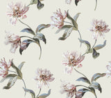 Large Parrot Tulip Neutral Peel and Stick Wallpaper by York Wallcoverings - PSW1373RL