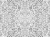Fleabitten Soft Grey Peel & Stick Wallpaper with Speckled Equine Coat Motif - York PSW1378RL