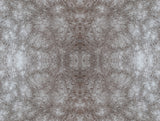 Rose Dapple Warm Grey Peel & Stick Wallpaper with Equestrian Dapple Motif - York PSW1382RL