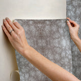 Rose Dapple Warm Grey Peel & Stick Wallpaper with Equestrian Dapple Motif - York PSW1382RL