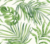 Paradise Palm Green Peel & Stick Wallpaper with Botanical Watercolor Palm Leaf Pattern - York PSW1412RL