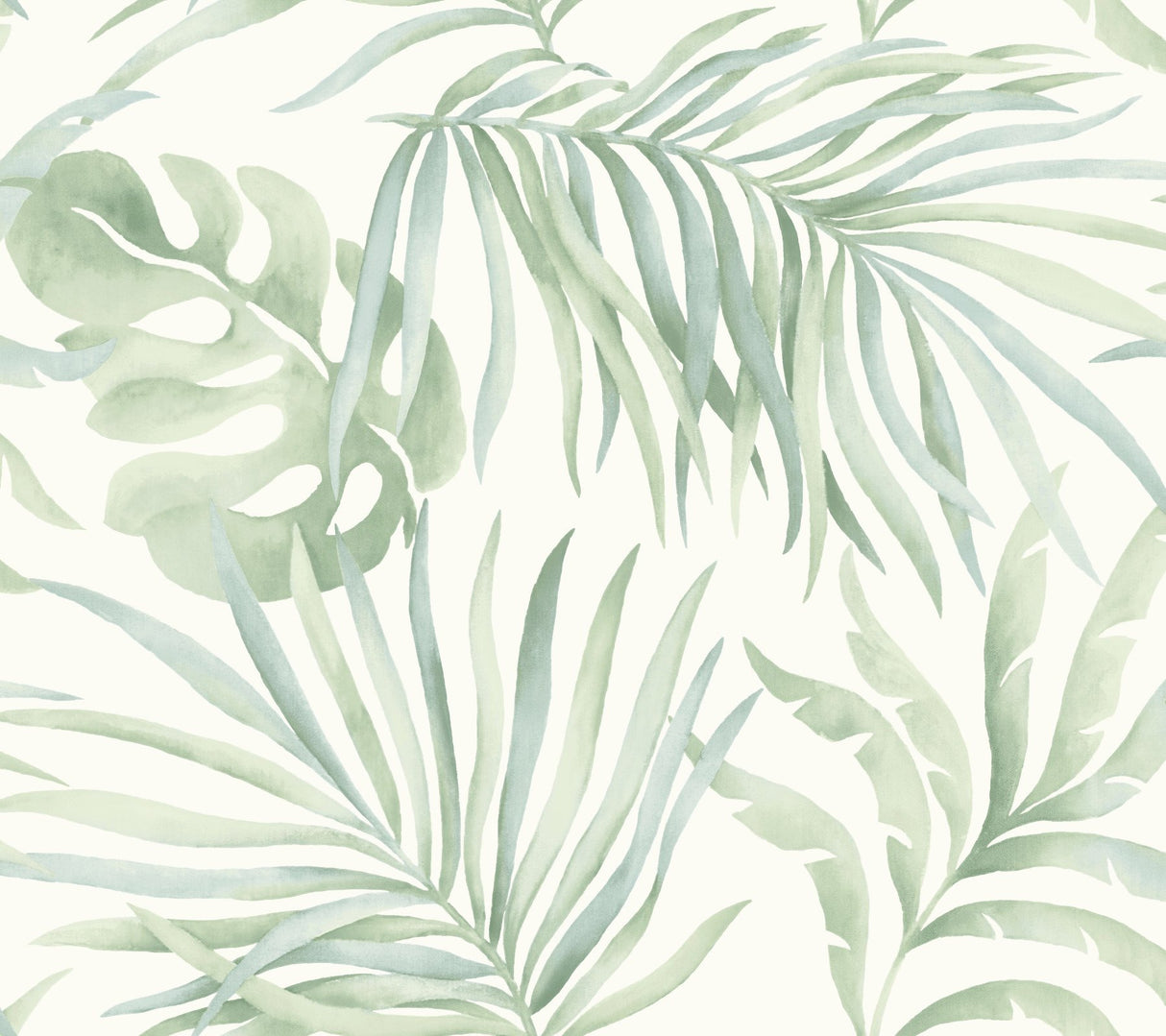 Paradise Palm Aloe Peel & Stick Wallpaper with Botanical Palm Leaf Motif - York PSW1413RL