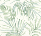 Paradise Palm Aloe Peel & Stick Wallpaper with Botanical Palm Leaf Motif - York PSW1413RL
