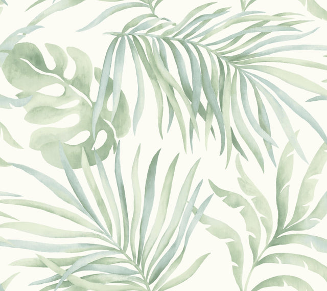 Paradise Palm Aloe Peel & Stick Wallpaper with Botanical Palm Leaf Motif - York PSW1413RL