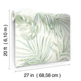 Paradise Palm Aloe Peel & Stick Wallpaper with Botanical Palm Leaf Motif - York PSW1413RL