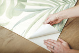 Paradise Palm Aloe Peel & Stick Wallpaper with Botanical Palm Leaf Motif - York PSW1413RL