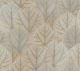 Leaf Concerto Warm Taupe Peel & Stick Wallpaper with Botanical Leaf Pattern - York PSW1425RL