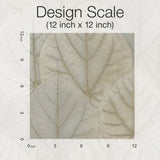 Leaf Concerto Warm Taupe Peel & Stick Wallpaper with Botanical Leaf Pattern - York PSW1425RL