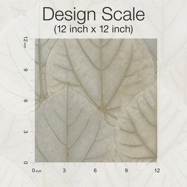 Leaf Concerto Warm Taupe Peel & Stick Wallpaper with Botanical Leaf Pattern - York PSW1425RL