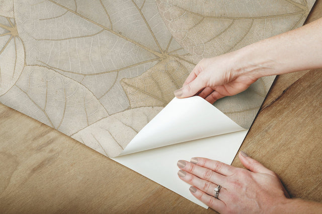 Leaf Concerto Warm Taupe Peel & Stick Wallpaper with Botanical Leaf Pattern - York PSW1425RL