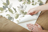 Joyful Eucalyptus Green Peel & Stick Wallpaper with Botanical Watercolor Leaves - York PSW1430RL
