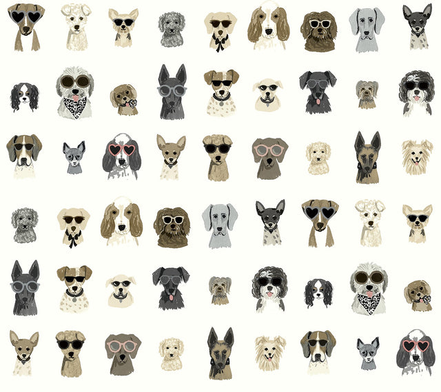 Dog Days Grey Peel & Stick Wallpaper with Novelty Dog Illustrations - York PSW1462RL