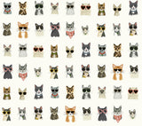 Cool Cats Multi White Peel & Stick Wallpaper with Novelty Cat Pattern - York PSW1463RL