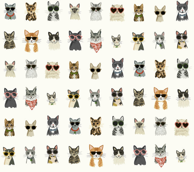 Cool Cats Multi White Peel & Stick Wallpaper with Novelty Cat Pattern - York PSW1463RL