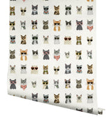 Cool Cats Multi White Peel & Stick Wallpaper with Novelty Cat Pattern - York PSW1463RL