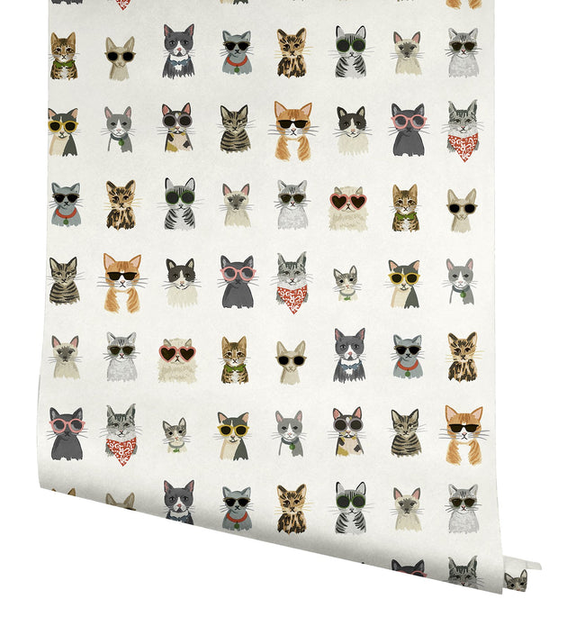 Cool Cats Multi White Peel & Stick Wallpaper with Novelty Cat Pattern - York PSW1463RL