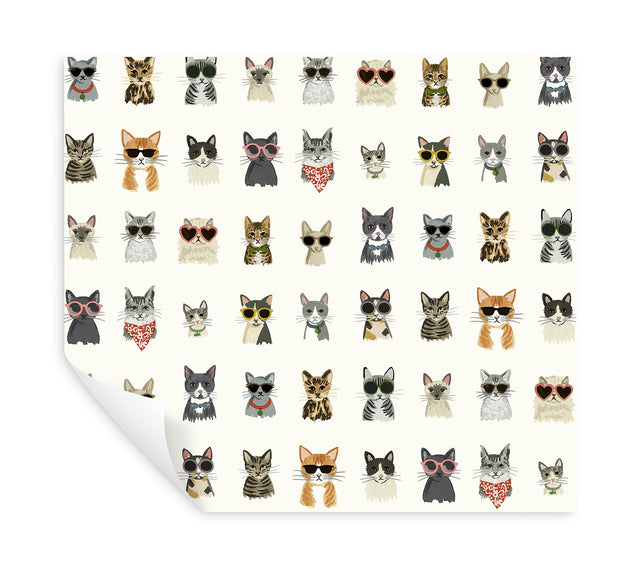 Cool Cats Multi White Peel & Stick Wallpaper with Novelty Cat Pattern - York PSW1463RL