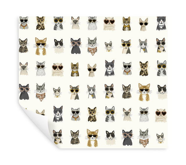 Cool Cats Grey & Gold Peel & Stick Wallpaper with Novelty Cat Portrait Pattern - York PSW1464RL