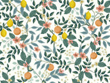 Citrus Grove White Peel & Stick Wallpaper with Botanical Citrus Motif - York PSW1479RL