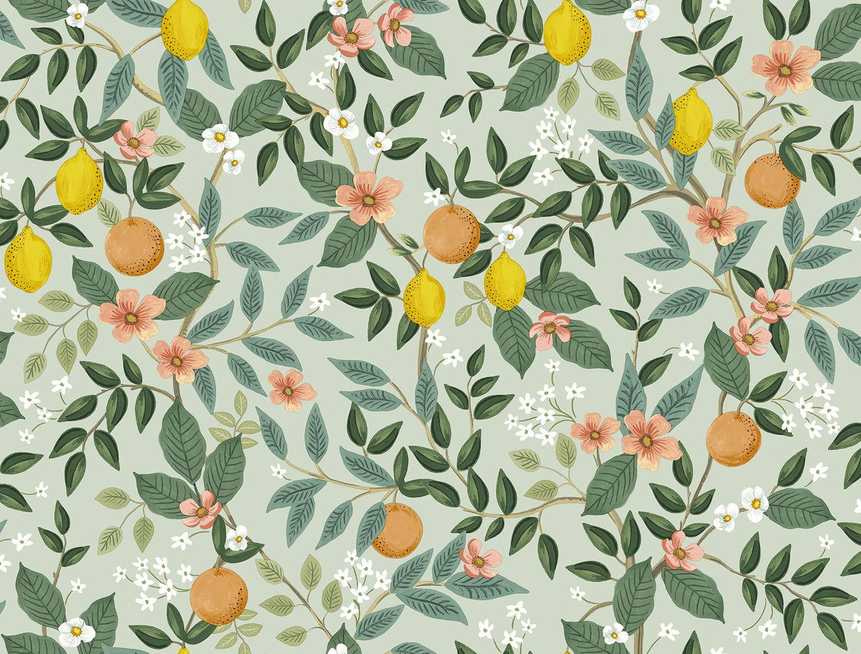 Citrus Grove Mint Peel & Stick Wallpaper with Botanical Citrus Motif - York PSW1480RL
