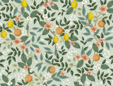 Citrus Grove Mint Peel & Stick Wallpaper with Botanical Citrus Motif - York PSW1480RL