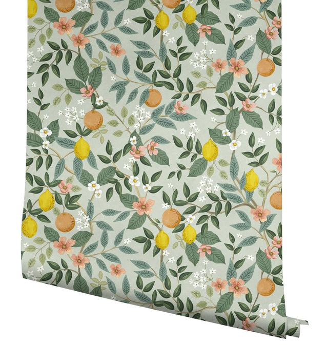 Citrus Grove Mint Peel & Stick Wallpaper with Botanical Citrus Motif - York PSW1480RL