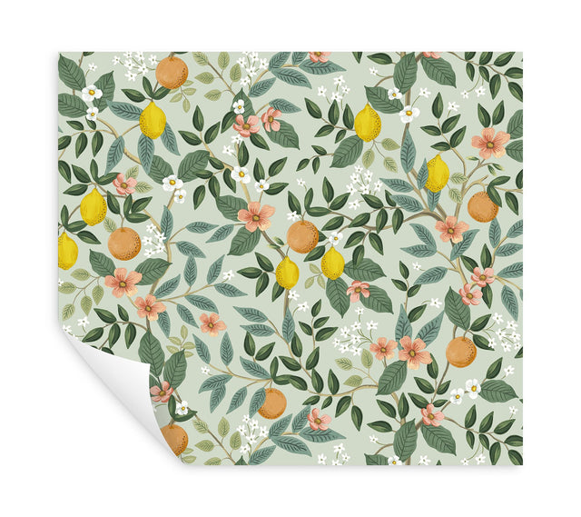 Citrus Grove Mint Peel & Stick Wallpaper with Botanical Citrus Motif - York PSW1480RL