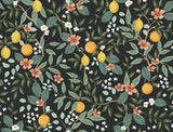 Citrus Grove Black Peel & Stick Wallpaper with Botanical Citrus Pattern - York PSW1482RL