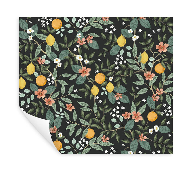 Citrus Grove Black Peel & Stick Wallpaper with Botanical Citrus Pattern - York PSW1482RL