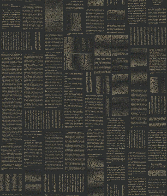 Crafted Editorial Black & Gold Metallic Peel & Stick Wallpaper with Words & Letters Pattern - York PSW1496RL