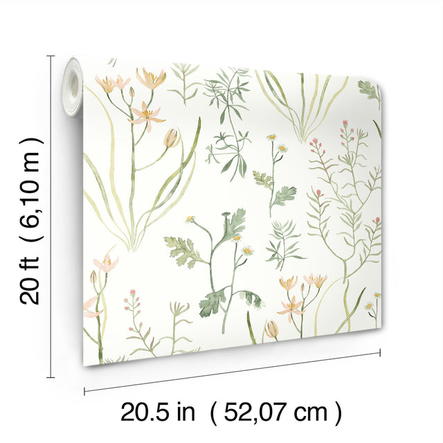 Alpine Botanical Peach Peel & Stick Wallpaper with Watercolor Botanical Pattern - York PSW1519RL