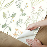 Alpine Botanical Peach Peel & Stick Wallpaper with Watercolor Botanical Pattern - York PSW1519RL