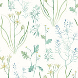 Alpine Botanical Blue Peel & Stick Wallpaper with Watercolor Botanical Pattern - York PSW1520RL