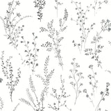 Wildflower Sprigs Black & White Peel & Stick Wallpaper with Botanical Watercolor Sprigs - York PSW1522RL