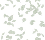 Inner Peace Sage Peel & Stick Non Woven Wallpaper by York Wallcoverings - PSW1564RL