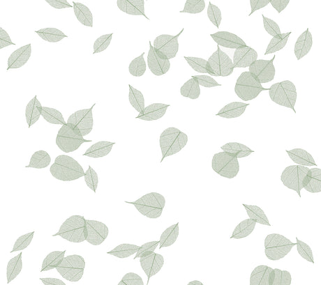 Inner Peace Sage Peel & Stick Non Woven Wallpaper by York Wallcoverings - PSW1564RL