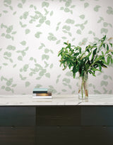Inner Peace Sage Floating Botanical Ficus Leaf Peel & Stick Non Woven Wallpaper by York Wallcoverings Aviva Stanoff - PSW1564RL