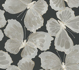 Monarch Onyx Peel and Stick Wallpaper by York Wallcoverings - PSW1565RL