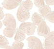 Monarch Pink large-scale butterfly peel and stick wallpaper with silver metallic accents by Aviva Stanoff for York Wallcoverings - PSW1567RL