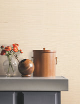Natural Sisal Plaster by York Wallcoverings Peel & Stick Grasscloth Wallpaper – York Wallcoverings PSW1596RL