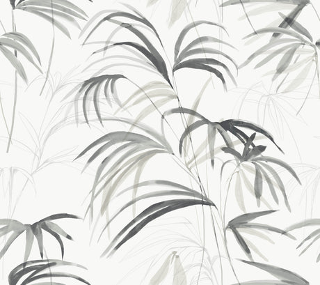 Inky Palms Black Peel & Stick Wallpaper by Candice Olson - PSW1611RL