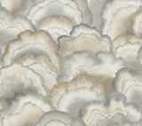 Abalone Fans Smokey Peel & Stick Wallpaper by Candice Olson - PSW1615RL