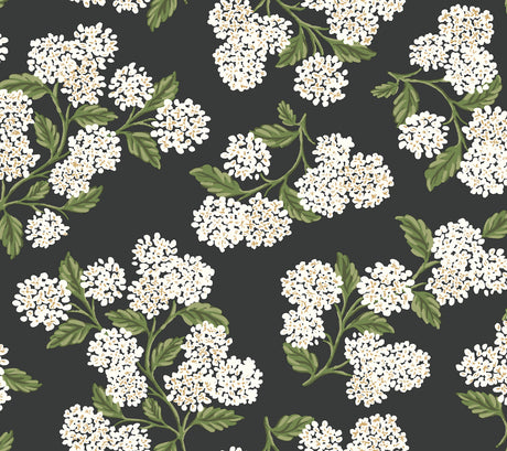 Hydrangea Black & White Peel & Stick Wallpaper by Rifle Paper Co., pattern PSW1618RL