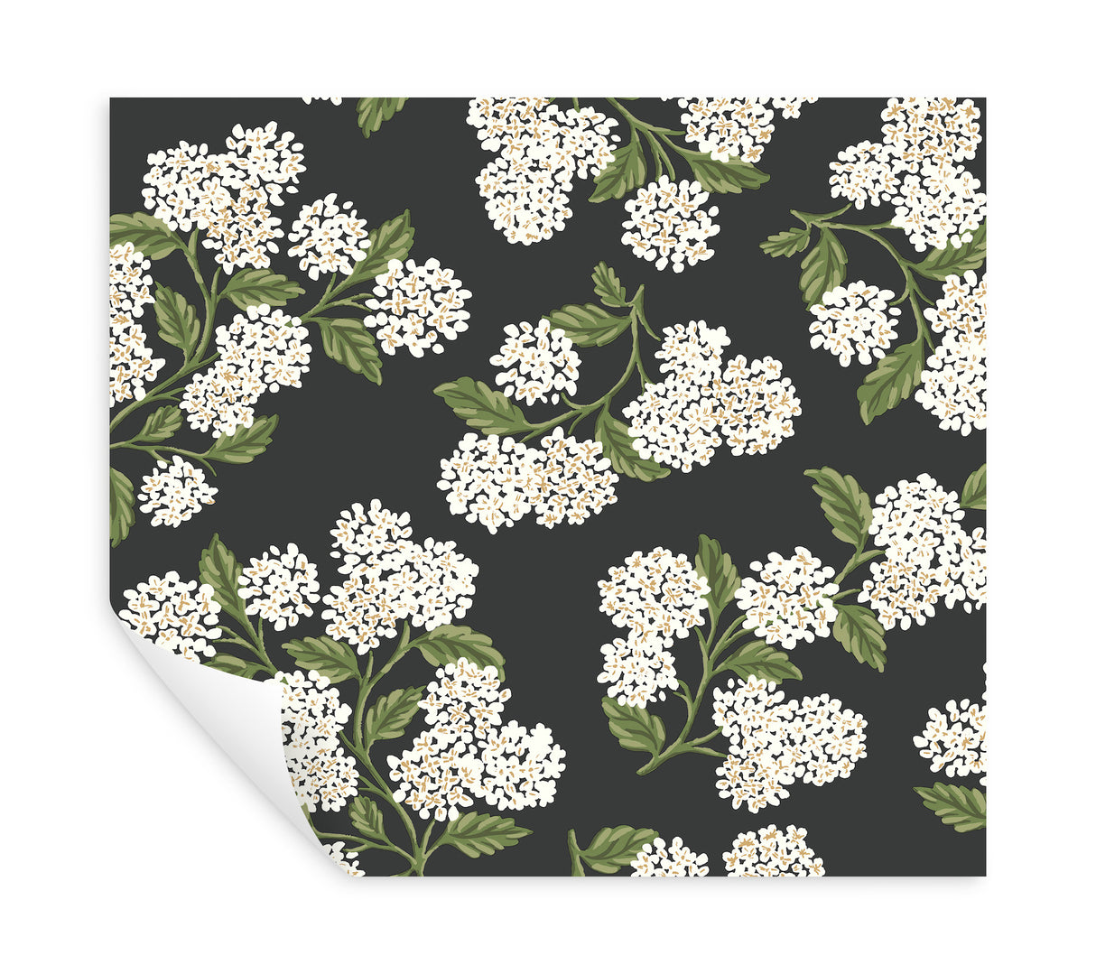 Hydrangea Black & White by Rifle Paper Co. Peel & Stick Wallpaper – York Wallcoverings PSW1618RL