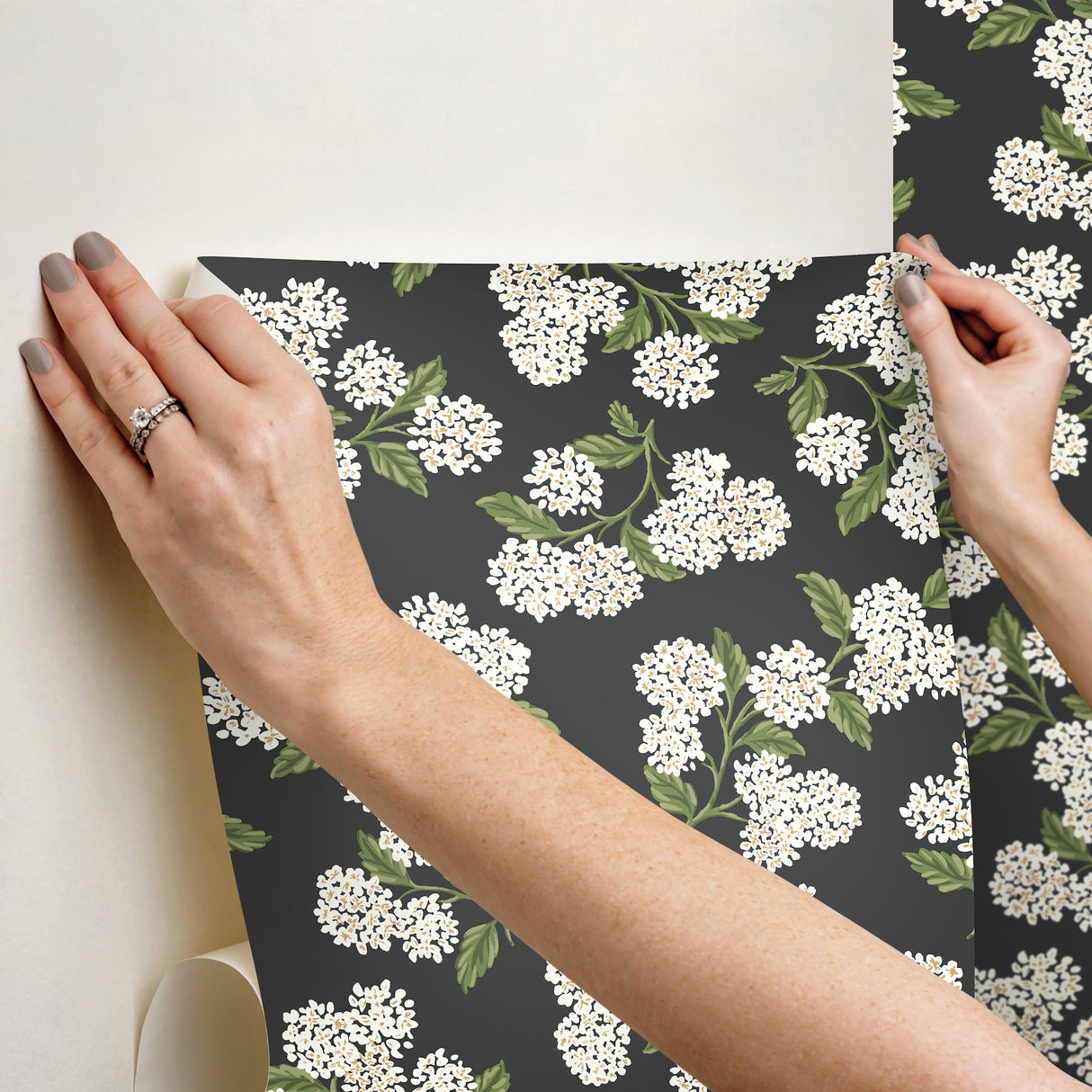 Hydrangea Black & White by Rifle Paper Co. Peel & Stick Wallpaper – York Wallcoverings PSW1618RL